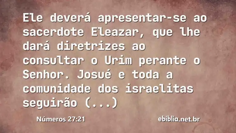 Números 27:21