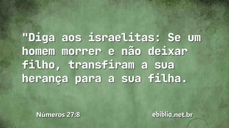 Números 27:8