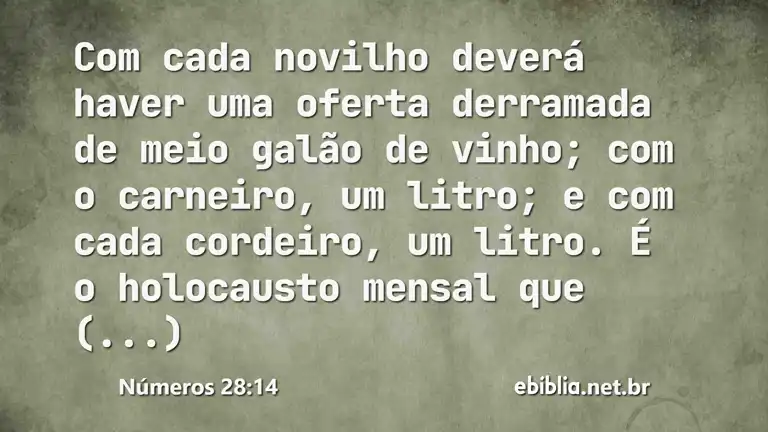 Números 28:14