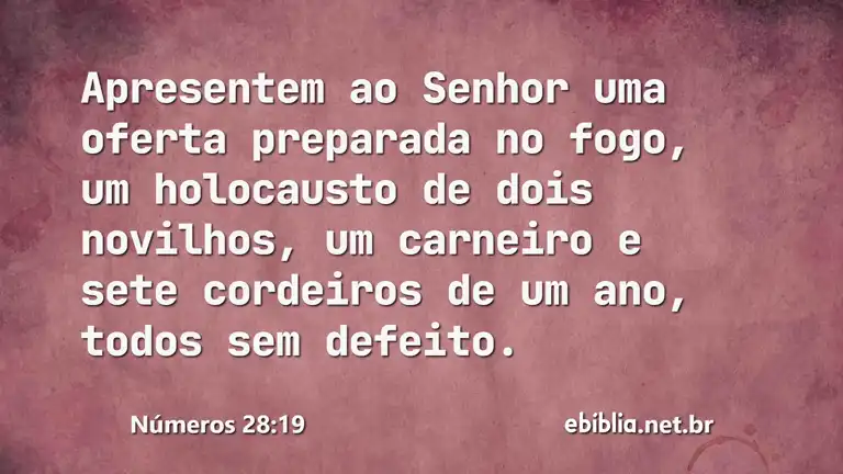 Números 28:19