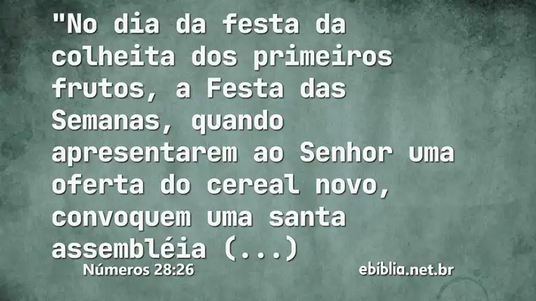 Números 28:26