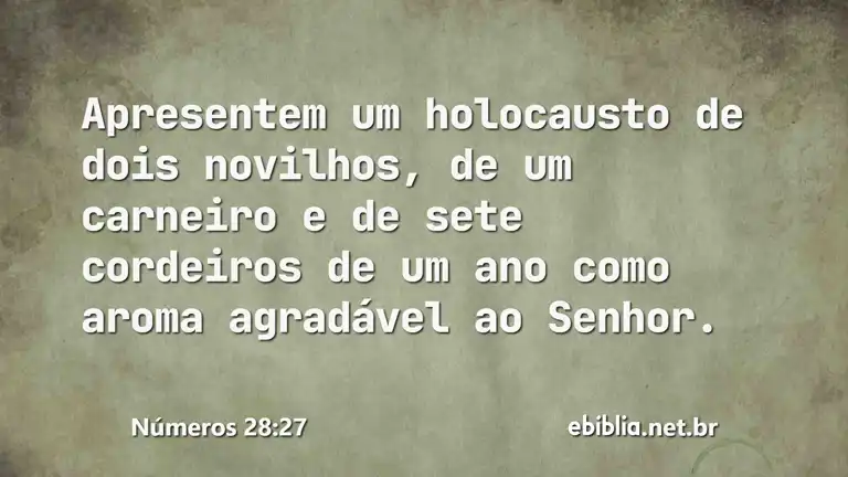 Números 28:27