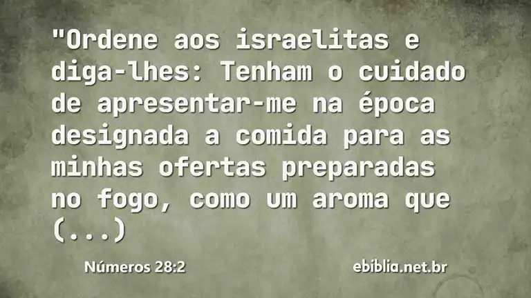 Números 28:2