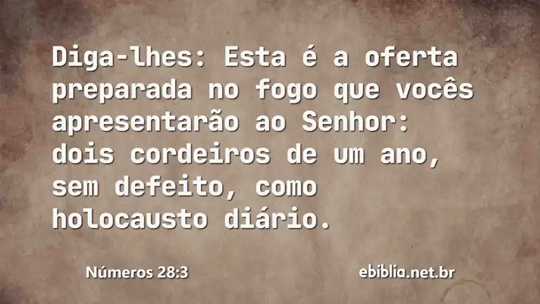 Números 28:3