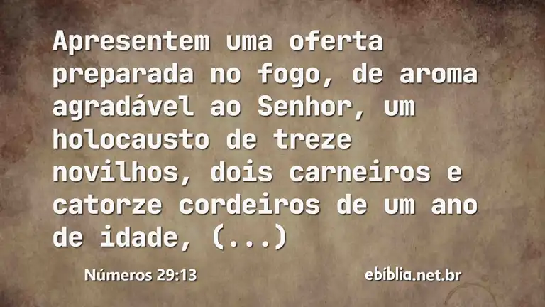 Números 29:13