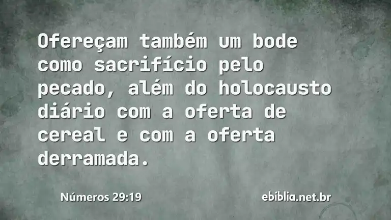 Números 29:19