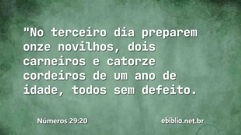 Números 29:20