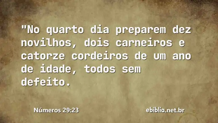 Números 29:23