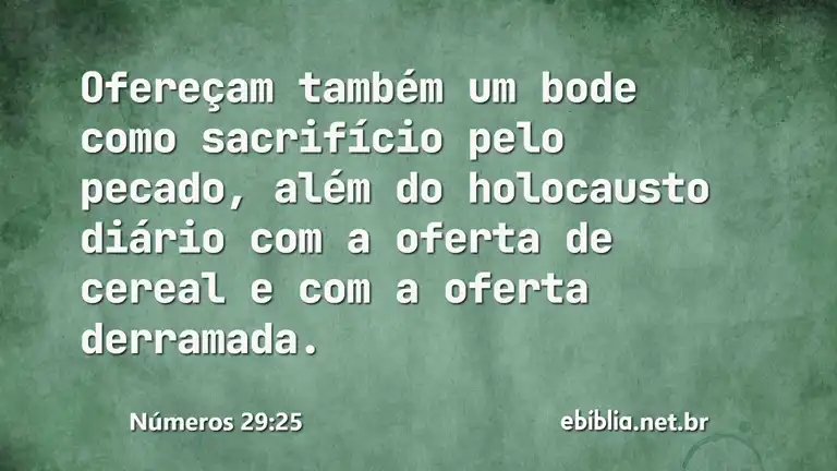 Números 29:25