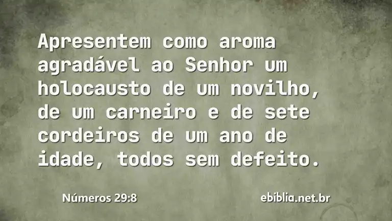 Números 29:8