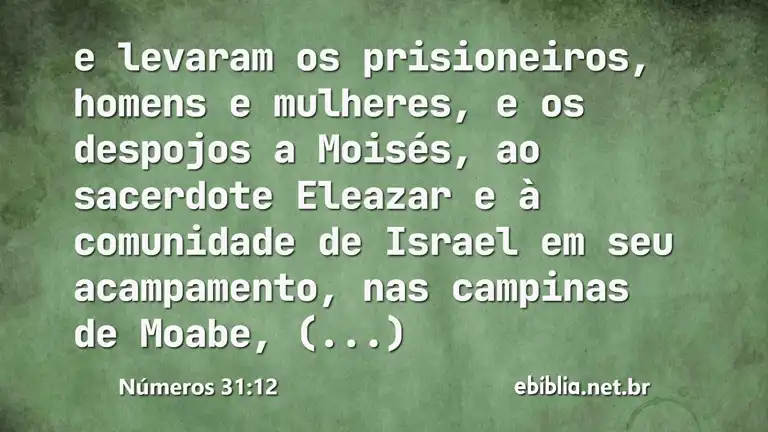 Números 31:12