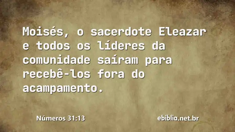 Números 31:13