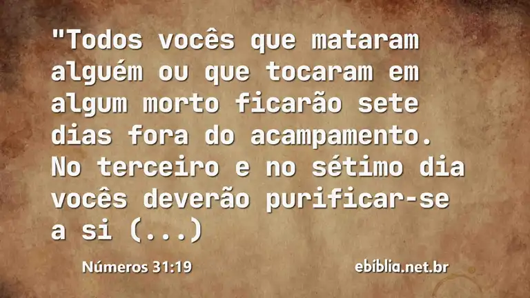 Números 31:19