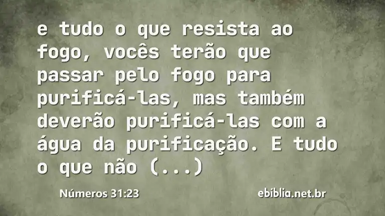 Números 31:23