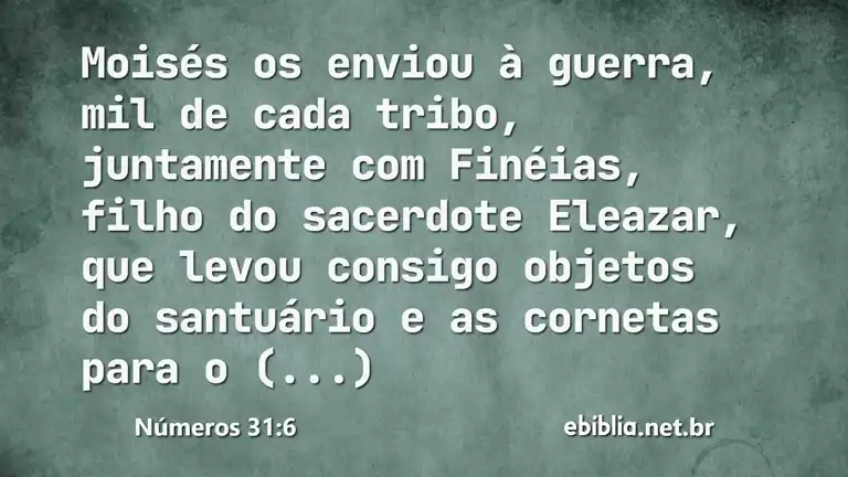 Números 31:6