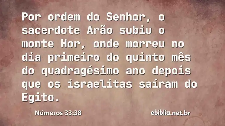 Números 33:38