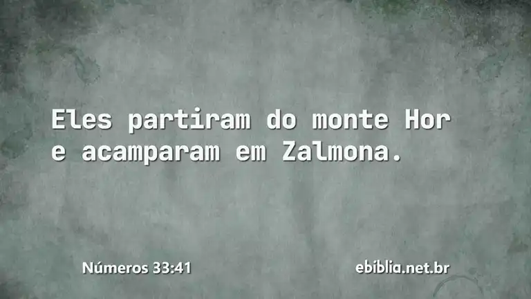 Números 33:41