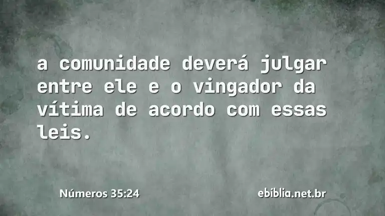 Números 35:24