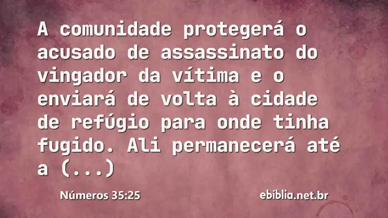 Números 35:25