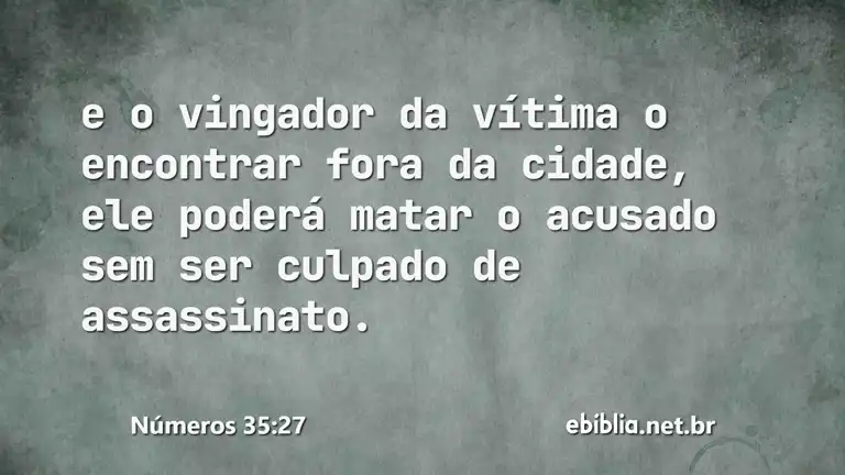 Números 35:27