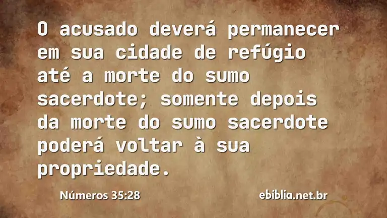 Números 35:28