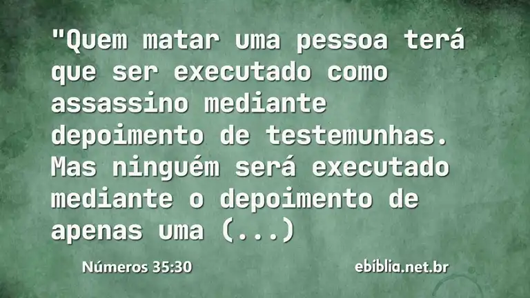 Números 35:30