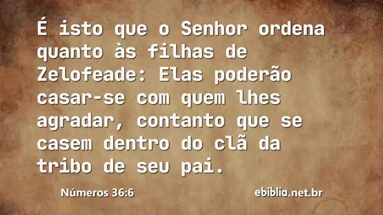 Números 36:6