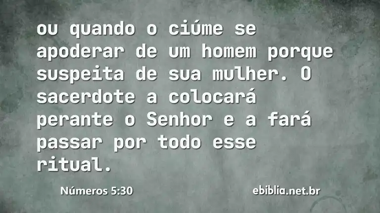 Números 5:30