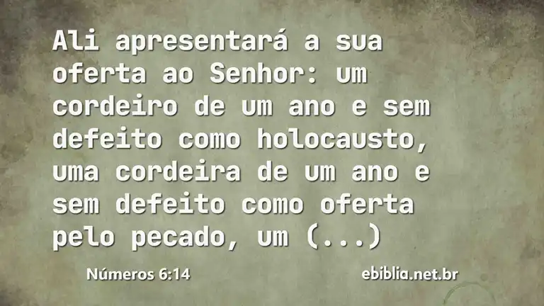 Números 6:14