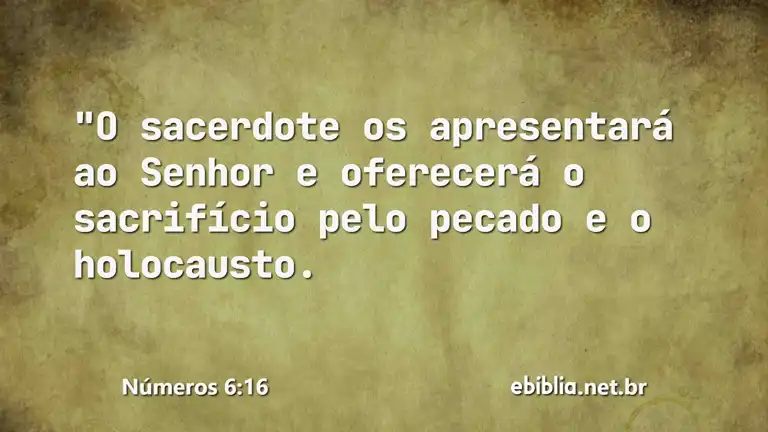 Números 6:16