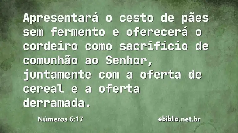 Números 6:17