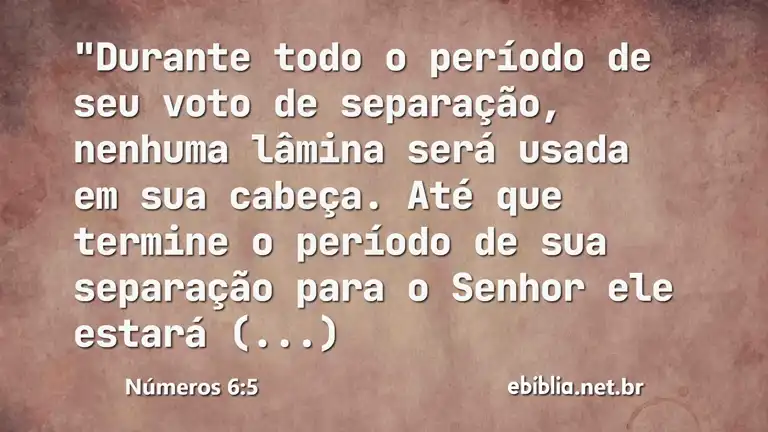 Números 6:5