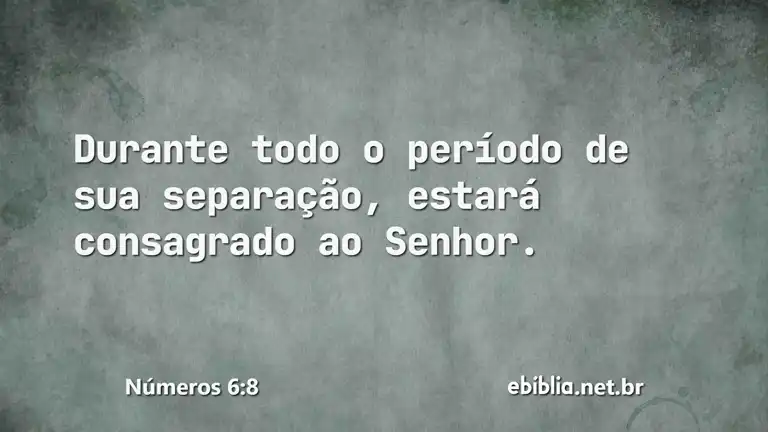 Números 6:8