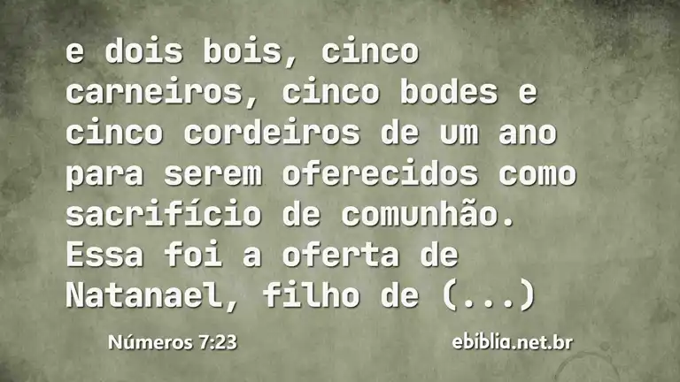 Números 7:23