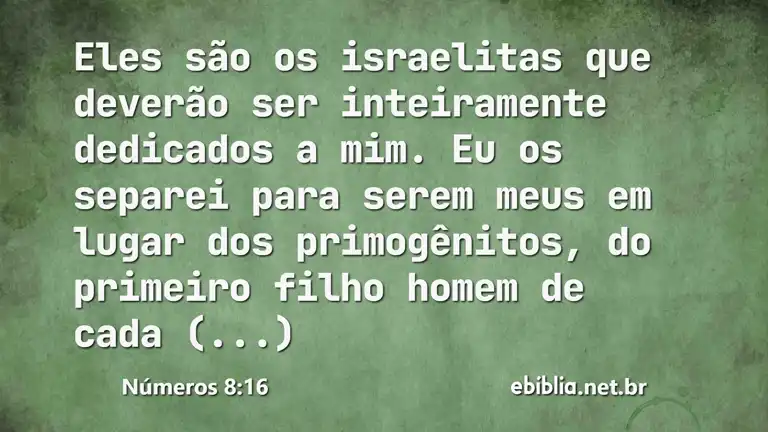 Números 8:16