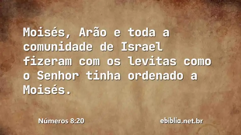 Números 8:20