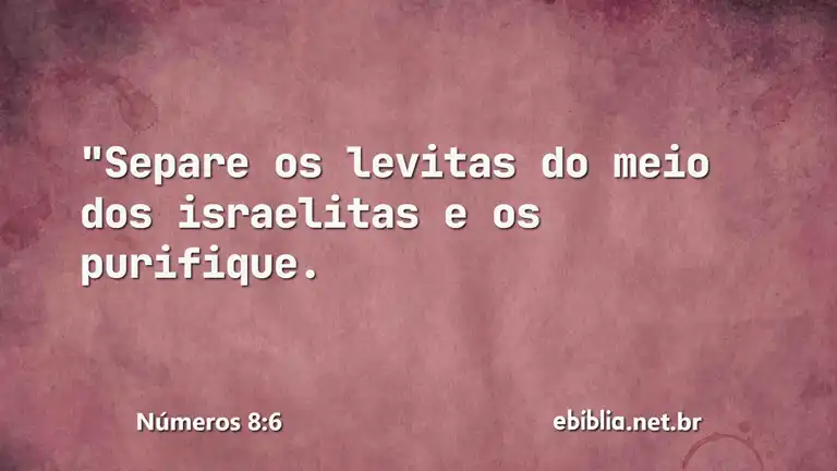 Números 8:6