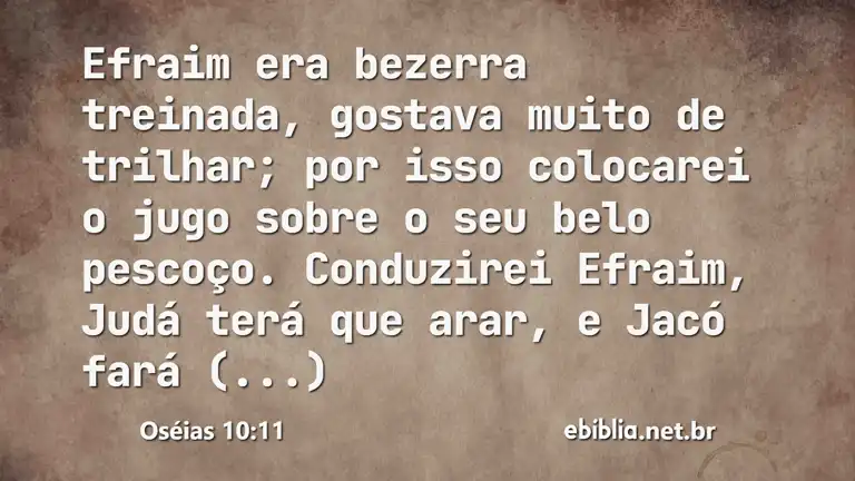 Oséias 10:11