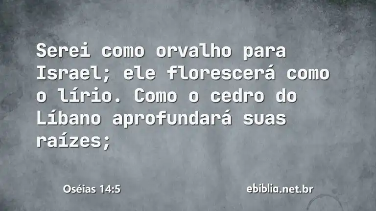 Oséias 14:5