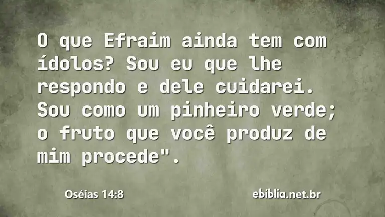 Oséias 14:8