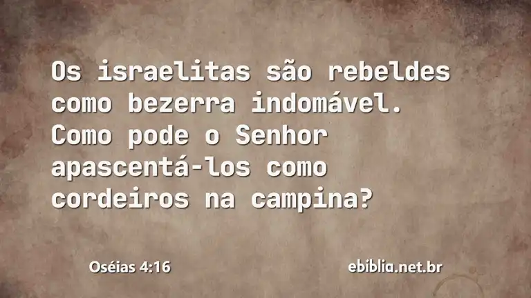 Oséias 4:16