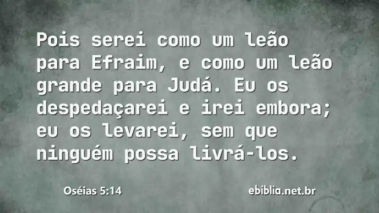 Oséias 5:14