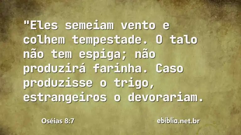 Oséias 8:7