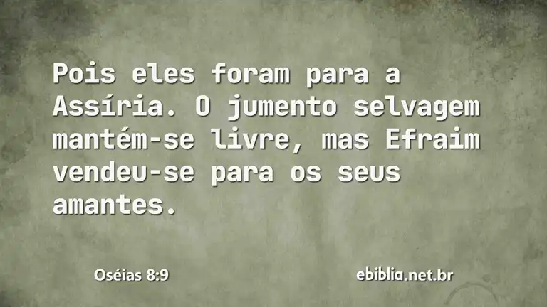 Oséias 8:9