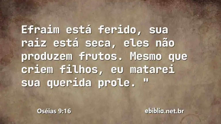 Oséias 9:16