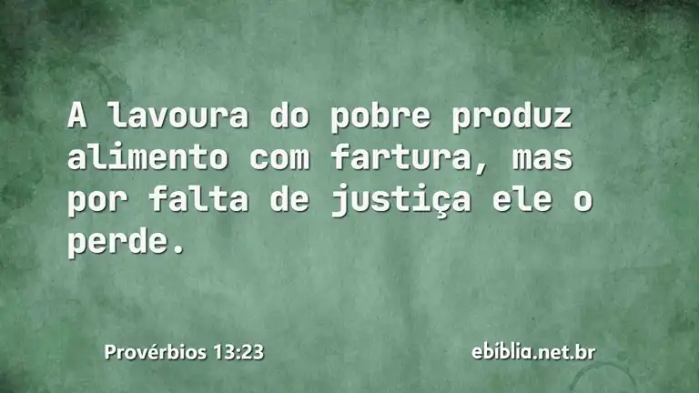 Provérbios 13:23