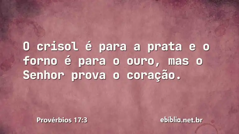 Provérbios 17:3