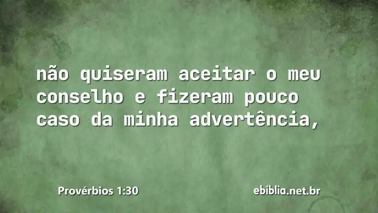 Provérbios 1:30