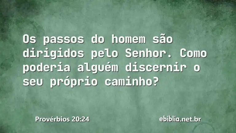 Provérbios 20:24