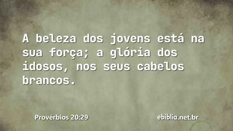 Provérbios 20:29